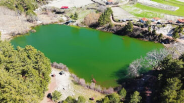 Yok olma noktasına gelmişti: Doğal g&uuml;zellik eski g&uuml;nlerine d&ouml;nd&uuml;