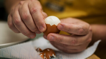 Yumurta Kabuğu T&uuml;ketimi Trend Oldu