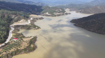 Y&uuml;zde 6&rsquo;ya d&uuml;şm&uuml;şt&uuml; şimdi y&uuml;zde 100 dolu