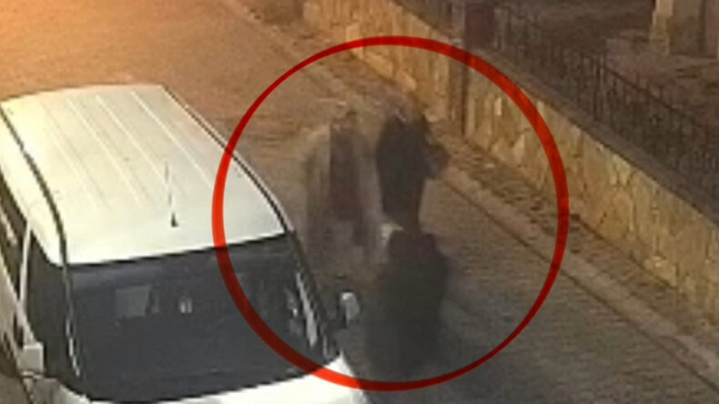 'Bakar mısın?' dedi, koparıp ka&ccedil;tı