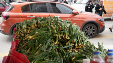 'Doğal antibiyotik' diye biliniyor: Tezgahlardaki yerini aldı, kilosu 200 TL