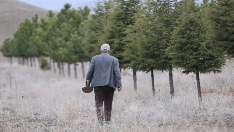 12 yılda bozkırı, ormana d&ouml;n&uuml;şt&uuml;rd&uuml;: 12 bin fidan dikti