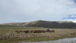 120 Bin Lira Maaş Teklif Etti, Kabul Eden &Ccedil;ıkmadı