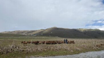 120 Bin Lira Maaş Teklif Etti, Kabul Eden &Ccedil;ıkmadı