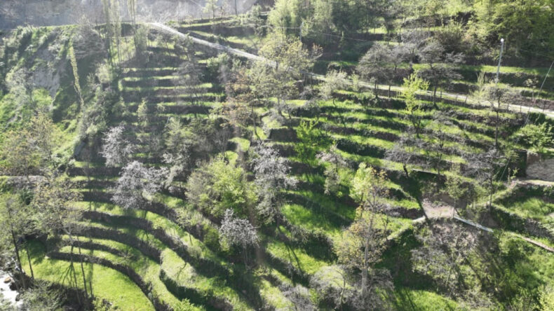 2 d&ouml;n&uuml;ml&uuml;k araziyi taşlar sayesinde 8 d&ouml;n&uuml;me &ccedil;ıkardı
