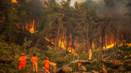 2025'te ihmal, dikkatsizlik, kasıt ve kazadan 1933 orman yangını &ccedil;ıktı