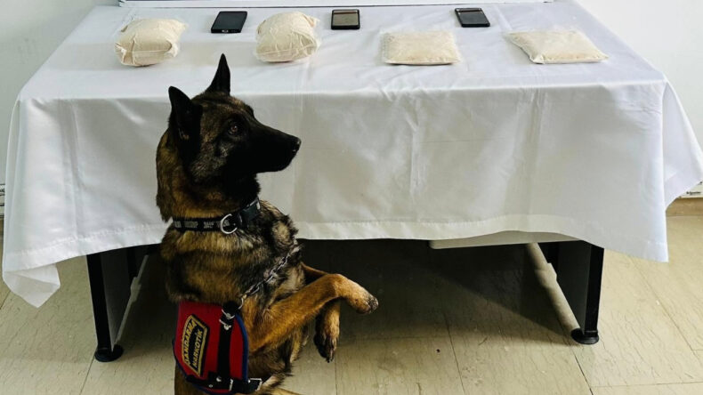 3 Kilo Kannabinoid Ele Ge&ccedil;irildi