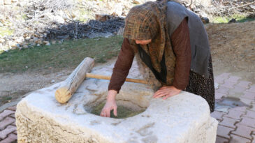 300 Yıldır K&ouml;y&uuml;n Ortasında, Ortak Kullanılıyor
