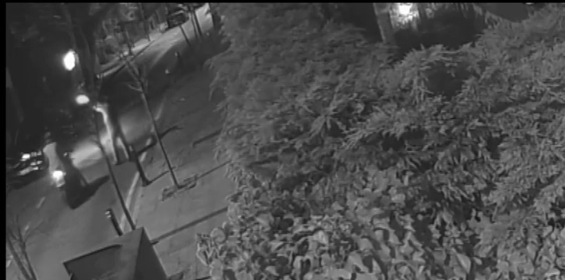 Gözaltına alınan şüpheliler