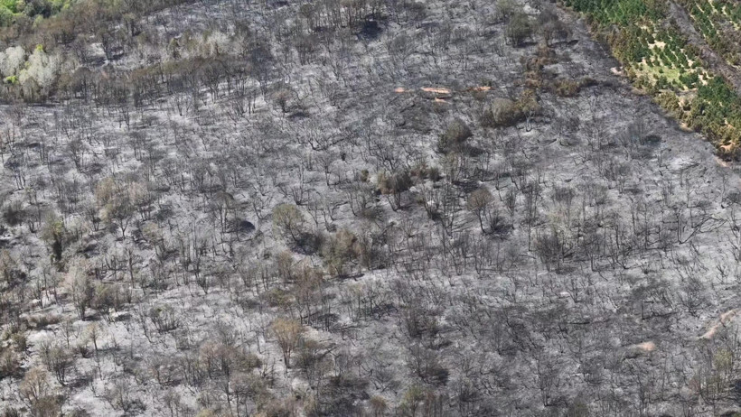 Yangın Sonrası Alanlar