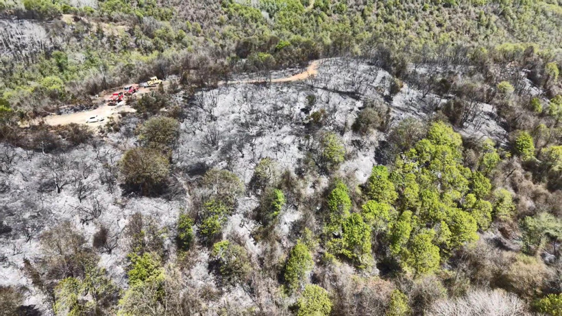 Beykoz Orman Yangını