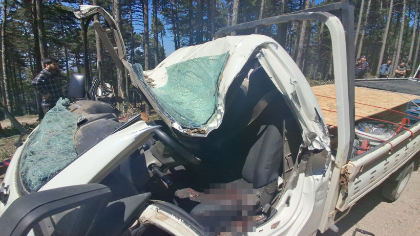 Kamyonetin üzerine devrilen ağaç