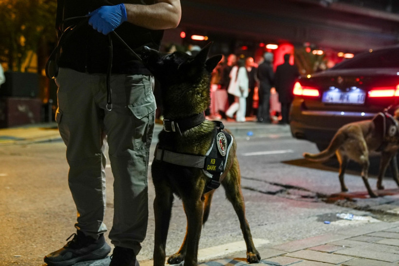 Narkotik köpekleriyle yapılan arama sırasında