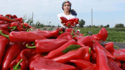 Adana'da 7 TL'ye Alınan Biber Diyarbakır'daki Markette 199,99 TL Oldu