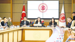 Ağır cezalar almalılar