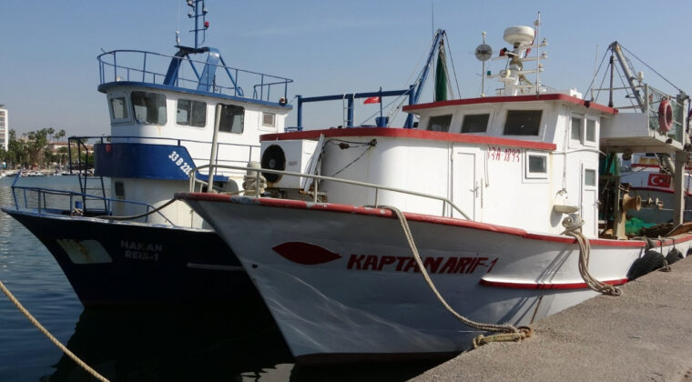 Akdeniz'de av yasağı başlıyor