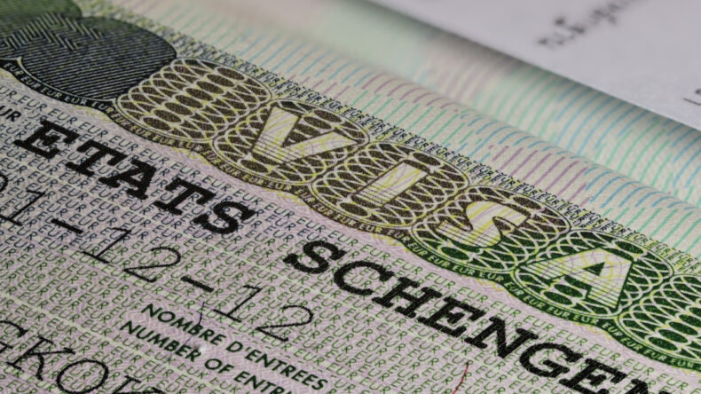 AKP ve MHP, &lsquo;vize&rsquo; &ouml;nerisini reddetti