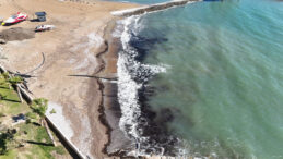 Alanya sahilinde tedirgin eden siyah tabakanın sırrı çözüldü