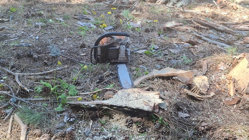 Olay yeri incelemesi