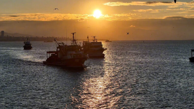 Av Yasağı 15 Nisan'da Başlıyor