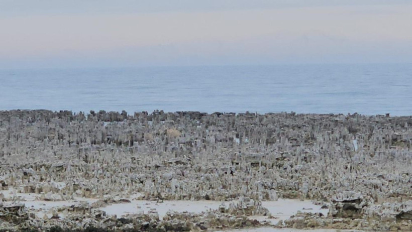 Van Gölü Mikrobiyalitleri