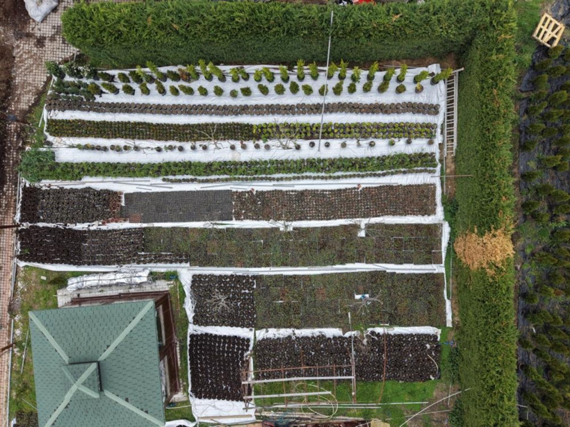 Filiz Köksal Üretim Serası