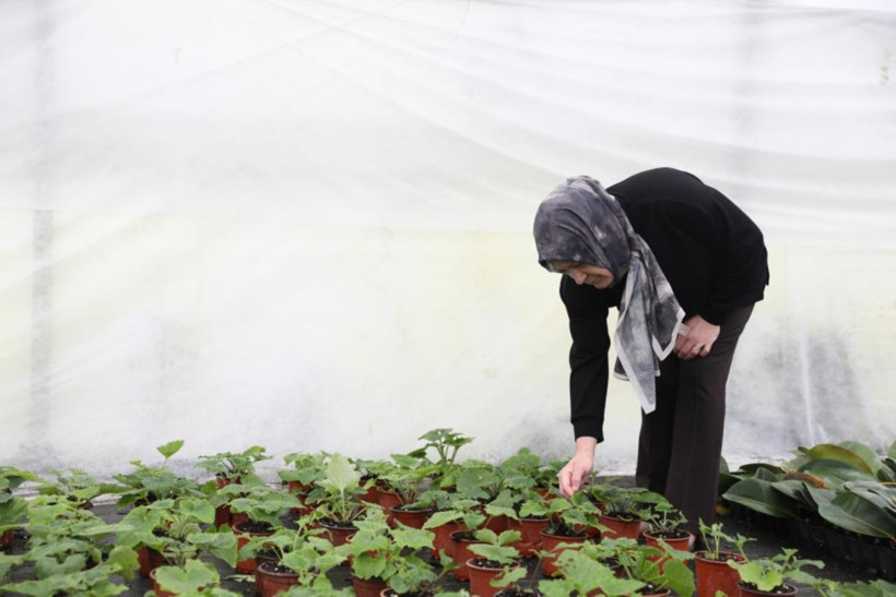 Filiz Köksal ve Ürünleri