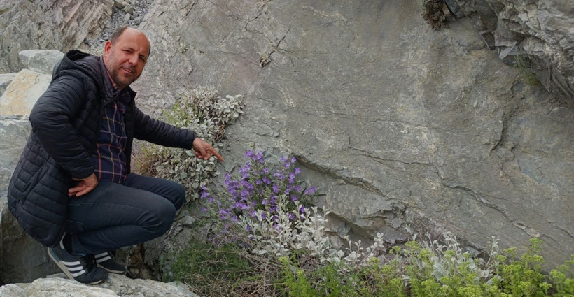 Küçük Çan Çiçekleri