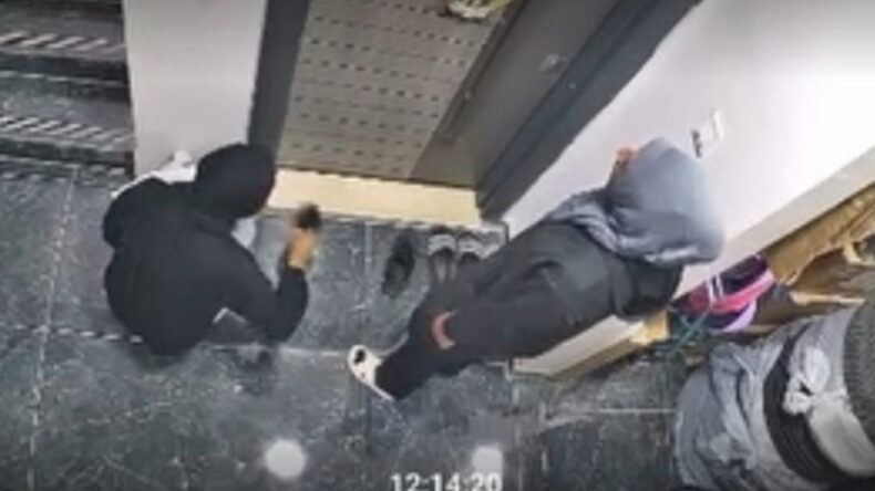 Ayakkabıları Koklayarak Girecekleri Evi Se&ccedil;tiler