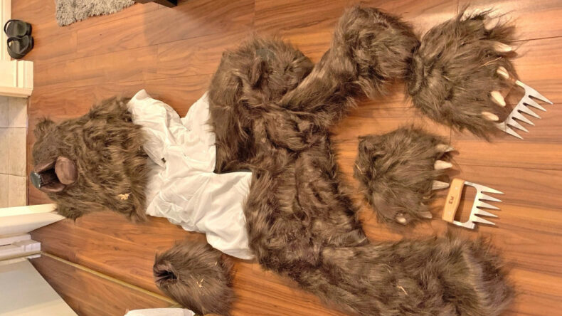 Ayı Kost&uuml;m&uuml;n&uuml;n Altından Sigorta Dolandırıcılığı &Ccedil;ıktı