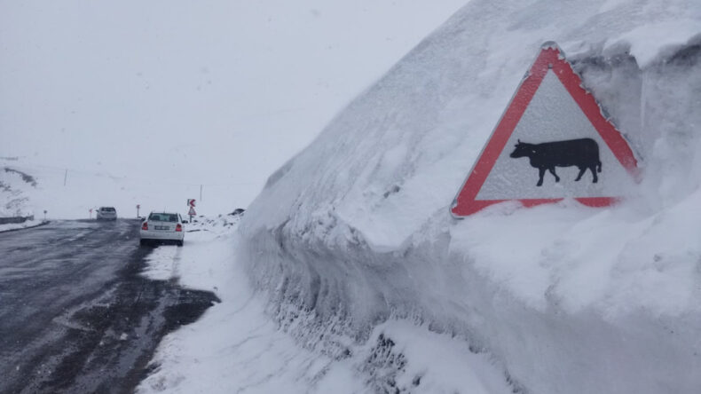 Bahar geldi ama onlar karla m&uuml;cadele ediyor: Tabela boyunu ge&ccedil;ti