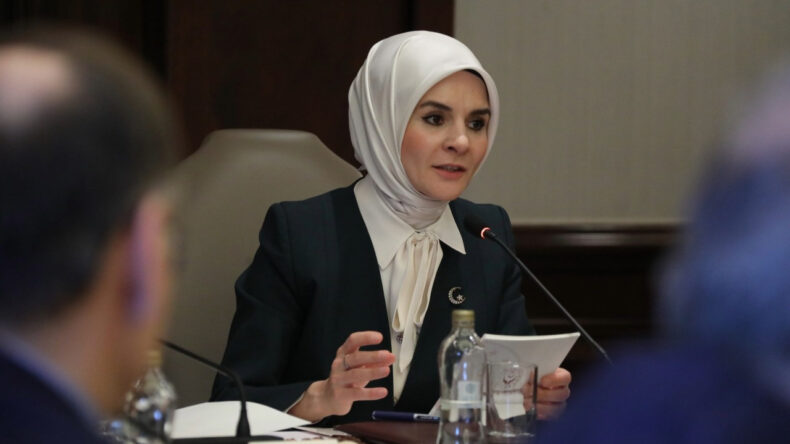 Bakan G&ouml;ktaş: Oyunları kapatmak, toptan yasaklamak gibi bir g&uuml;ndemimiz yok