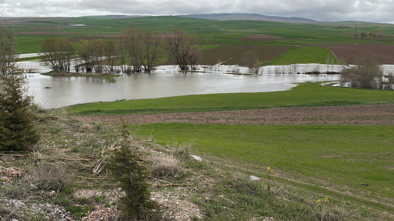 Baraj Kapakları A&ccedil;ıldı: Tarlalar Su Altında Kaldı