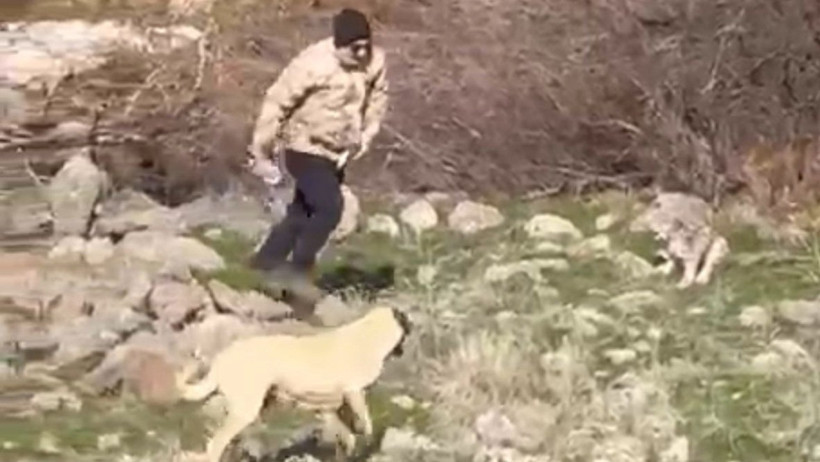 Müdahale eden vatandaşlar