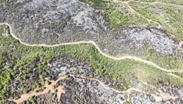 Beykoz'da Orman Yangını Sonrası Zarar G&ouml;ren Alanlar G&ouml;r&uuml;nt&uuml;lendi