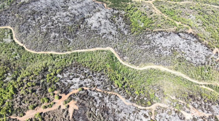 Beykoz'da Orman Yangını Sonrası Zarar G&ouml;ren Alanlar G&ouml;r&uuml;nt&uuml;lendi