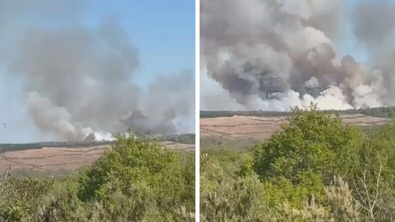 Beykoz&rsquo;da Orman Yangını