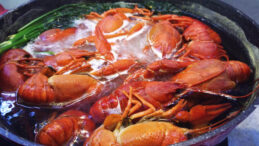 Bilim insanları şefleri uyardı: Istakozları canlı canlı haşlamayın