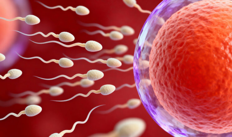 Bilim insanlarından erkek doğum kontrol&uuml;nde &ouml;nemli adım