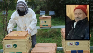 Boğazından arı sokan arı &ouml;ld&uuml;rd&uuml;