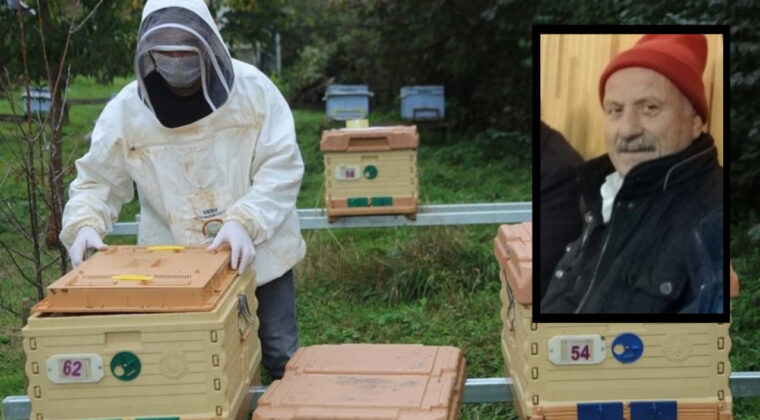 Boğazından arı sokan arı &ouml;ld&uuml;rd&uuml;