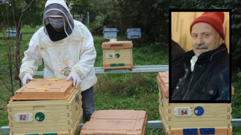 Boğazından arı sokan arı &ouml;ld&uuml;rd&uuml;