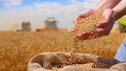 &Ccedil;ift&ccedil;i bankalara 1,4 trilyon lira bor&ccedil;lu