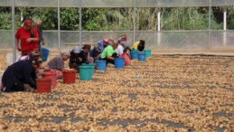 &Ccedil;ift&ccedil;inin Borcu 5 Yılda 10 Kat Arttı