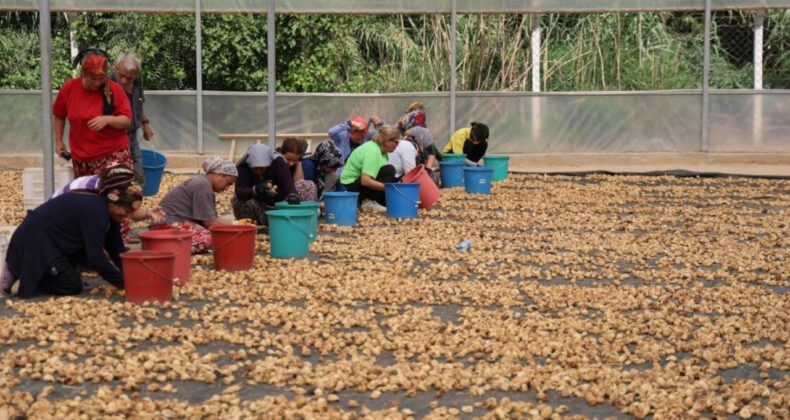 &Ccedil;ift&ccedil;inin Borcu 5 Yılda 10 Kat Arttı