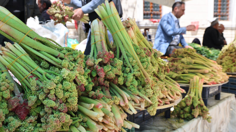 Dağ muzu 400 lirayla tezgaha geldi