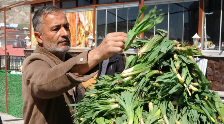 Dağdan Tezgaha: 100 Liradan Satışa &Ccedil;ıktı