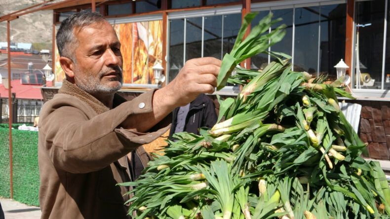 Dağdan Tezgaha: 100 Liradan Satışa &Ccedil;ıktı