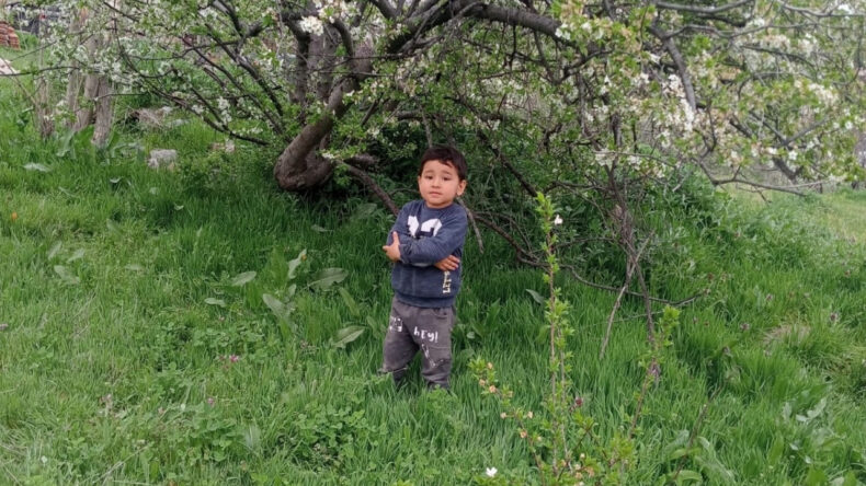 Dedesinin elini bıraktı, yola fırladı: 3 yaşındaki &ccedil;ocuk hayatını kaybetti