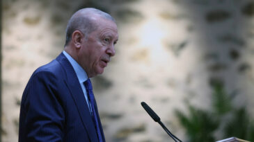 Erdoğan: Yapılanlar, apartheid rejiminin daha beterini İsrail'de uygulamaya ge&ccedil;irmek demek